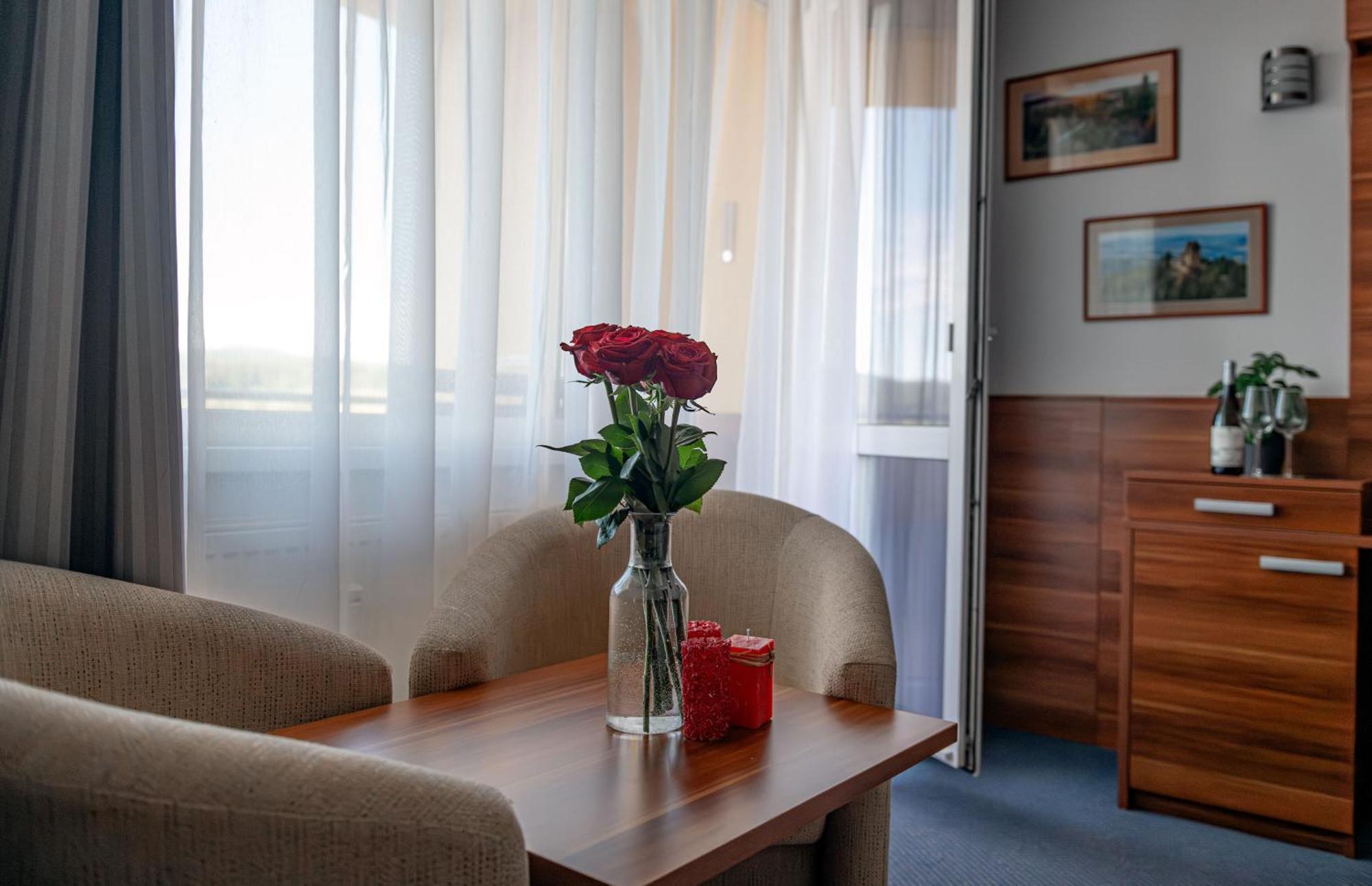 Apartment Lipno Wellness - C 301 *
